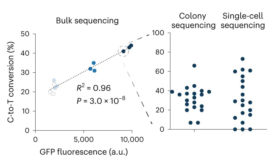 Open access visualization of Scatter Plot, Regression Plot, Promoter Strength, Recording Efficiency, Bulk Sequencing