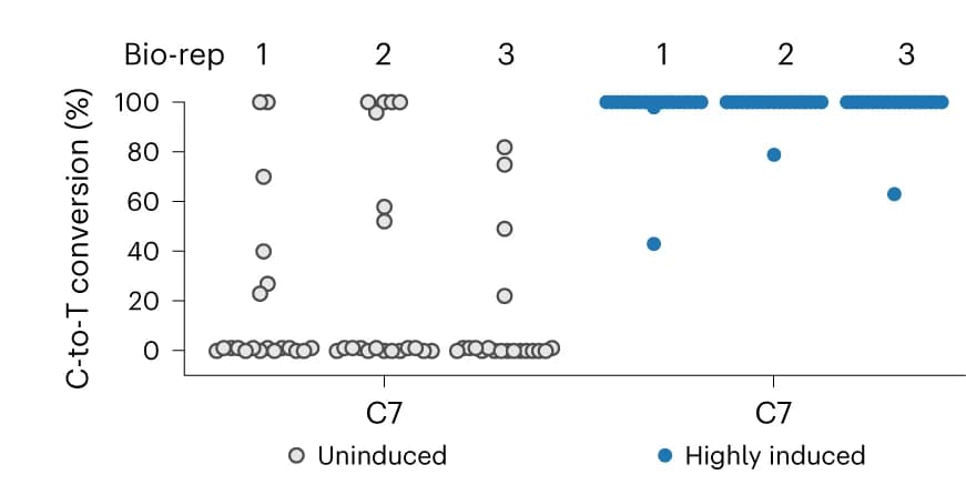 Open access visualization of Scatter Plot, Colony sequencing, rhaB mRNA, FACS