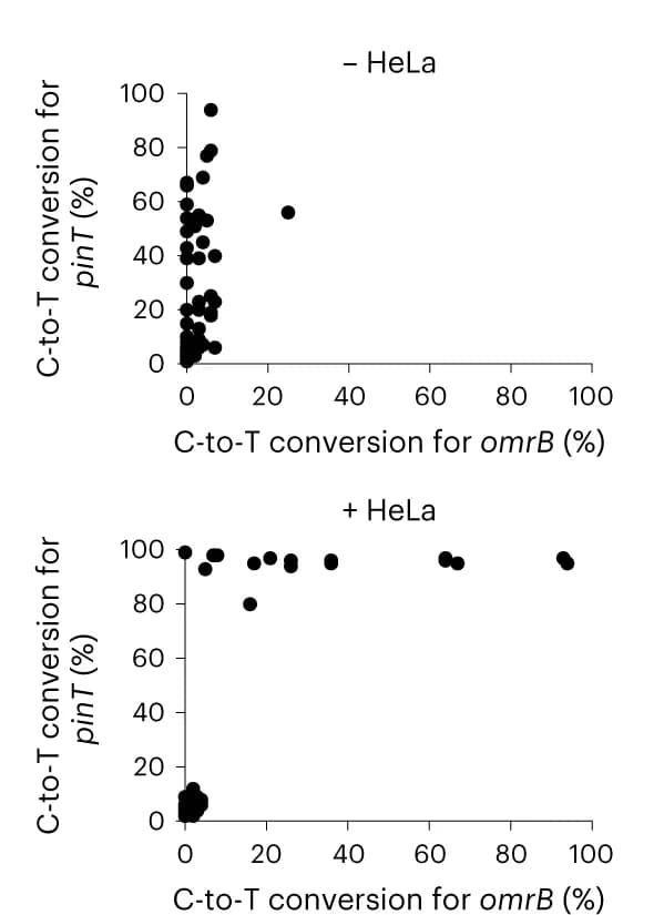 Open access visualization of Scatter Plot, Coexpression, OmrB, PinT, Colony sequencing