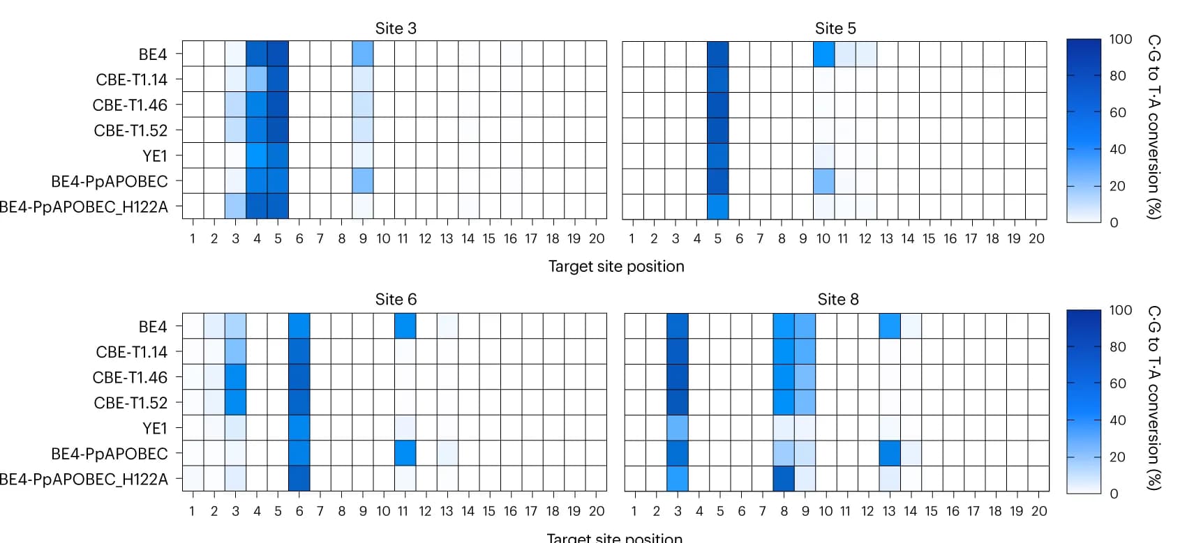 Open access visualization of Heatmap, C.G to T.A Conversion, mRNA, PAM, Target Window