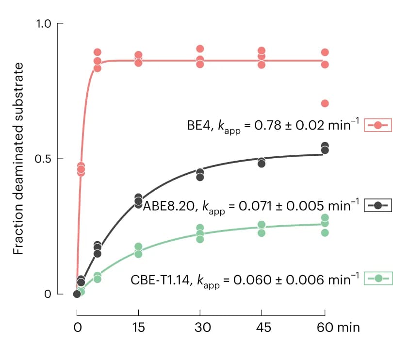 Open access visualization of Line Plot, Scatter Plot, In Vitro Kinetics, A to I Deamination, C to U Deamination