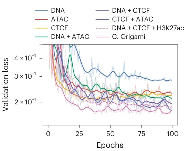 Open access visualization of Line Plot, Validation Loss, Model Performance, Input Features