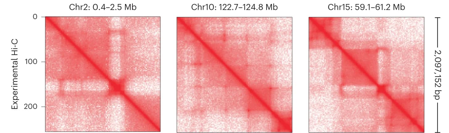 Open access visualization of Heatmap, Hi-C Matrix, IMR-90, Chromosome, Experimental Data