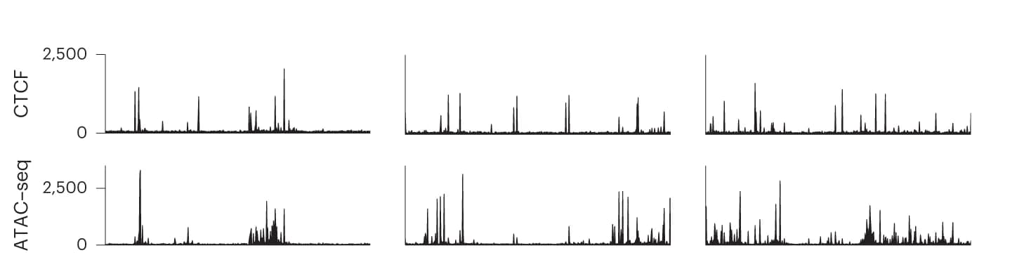 Open access visualization of Line Plot, CTCF-binding, Chromatin Accessibility Profiles