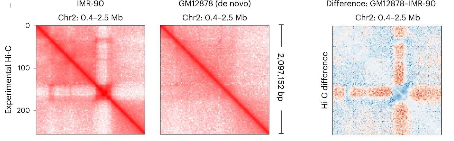 Open access visualization of Heatmap, Hi-C Matrices, Chromatin Interactions, IMR-90, GM12878