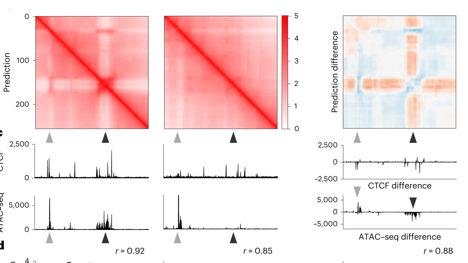 Open access visualization of Heatmap, Line Plot, Hi-C Matrices, Chromatin Interactions, IMR-90