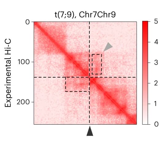 Open access visualization of Heatmap, Hi-C Data, Reference Chromosome, Chromosomal Translocation