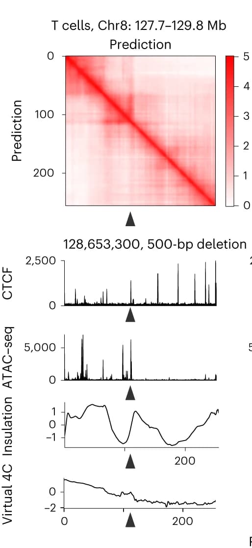 Open access visualization of Heatmap, Line Plot, Bar Plot, CTCF-binding Site, MYC Locus
