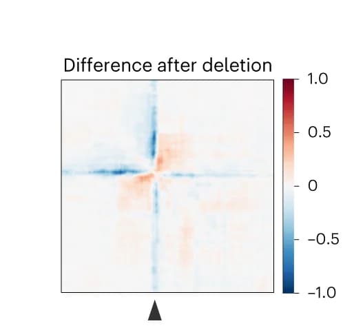 Open access visualization of Heatmap, CTCF-binding Site, MYC Locus, Chromatin Looping, T Cells