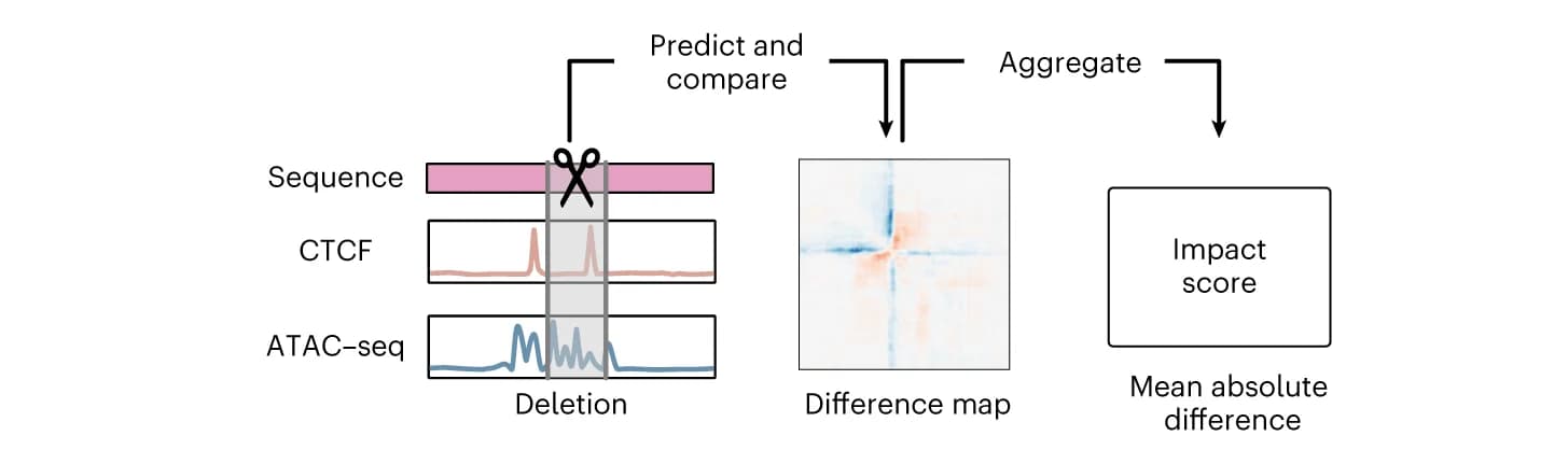 Open access visualization of Workflow, Illustration, Line Plot, Heatmap, cis-regulatory elements