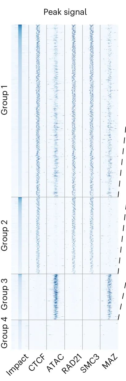 Open access visualization of Heatmap, ISGS, cis-elements, Locus, Impact scores