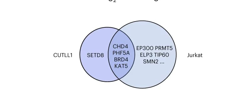 Open access visualization of Venn Diagram, CRISPR Screening, Chromatin Remodeling Genes, CUTLL1 Cells, Jurkat Cells