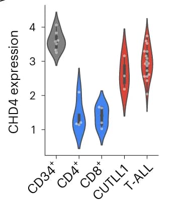 Open access visualization of Violin Plot, CHD4 Expression, RNA Sequencing
