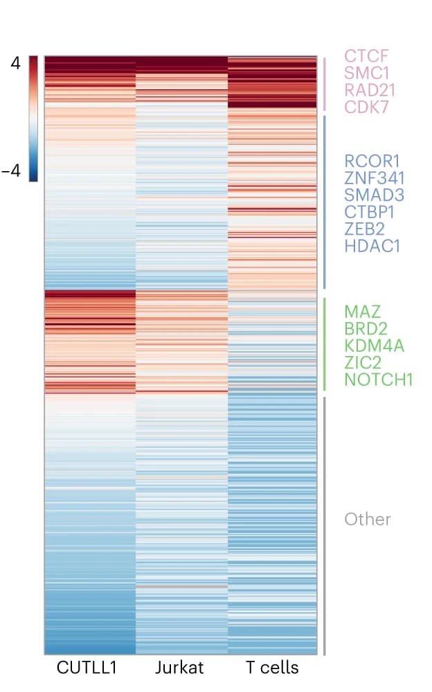 Open access visualization of Heatmap, Enrichment Odds Ratios, Trans-Acting Regulators, Cell Types