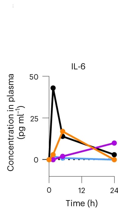 Open access visualization of Line Plot, IL-6, Plasma, Monkeys