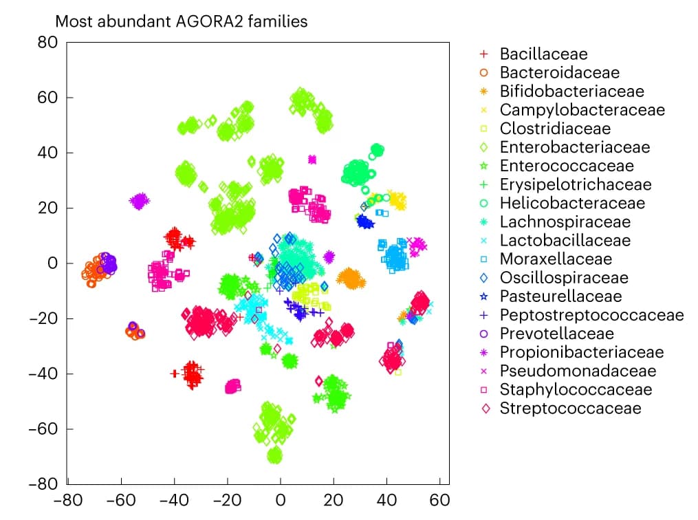Open access visualization of Scatter Plot, UMAP, PCA, Families
