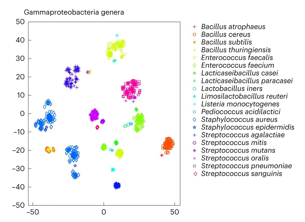 Open access visualization of Scatter Plot, UMAP, PCA, Gammaproteobacteria, Genus