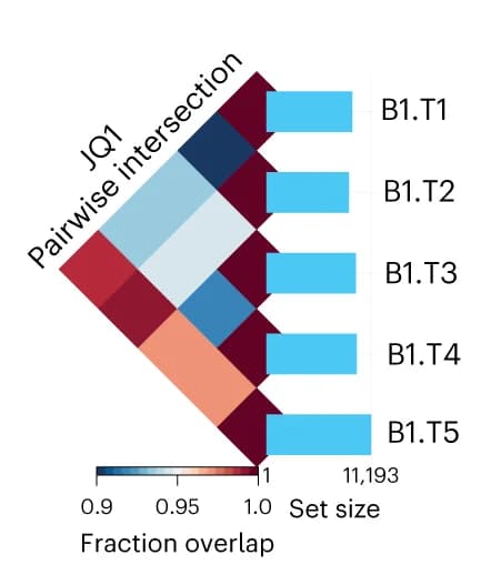 Open access visualization of Heatmap, Bar Plot, Enriched peaks, Technical replicates, Biological replicate