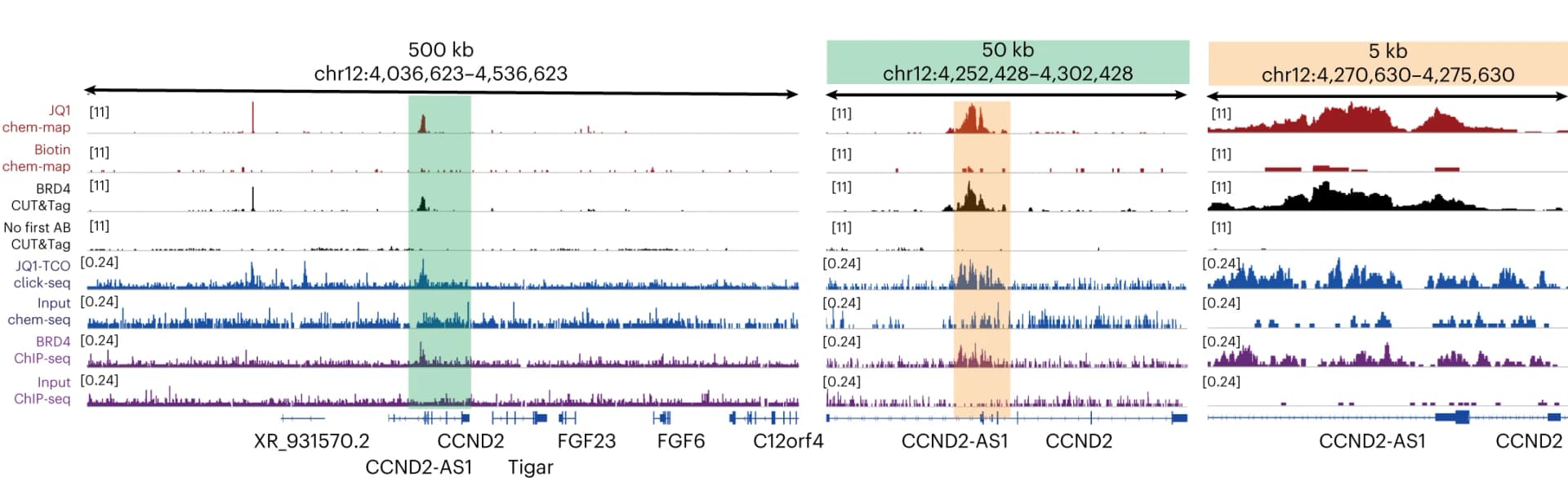 Open access visualization of Line Plot, Genome browser views, JQ1, Chem-map, Biotin negative control
