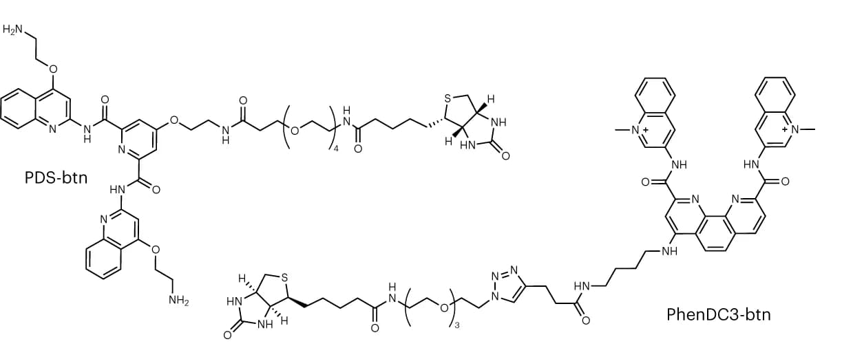 Open access visualization of Chemical Structure, G4 Ligands, PDS, PhenDC3