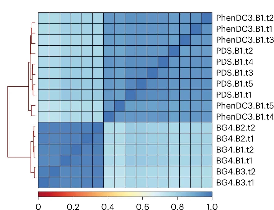 Open access visualization of Heatmap, Clustered, Hierarchical Clustering, Spearman Correlation Matrix, PDS Chem-map