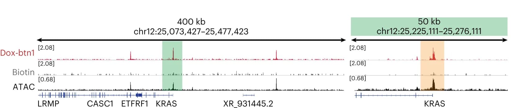 Open access visualization of Line Plot, Genome Browser, Doxorubicin, Chem-map, Binding Sites