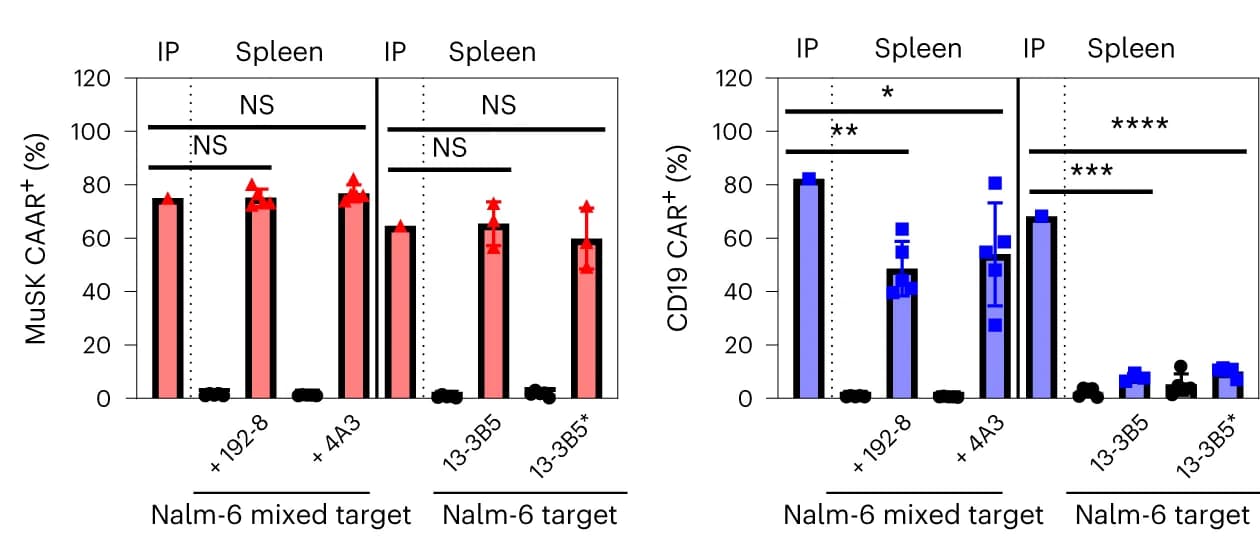 Open access visualization of Bar Plot, Error Bars, Mean, One-sample t-test, Mice
