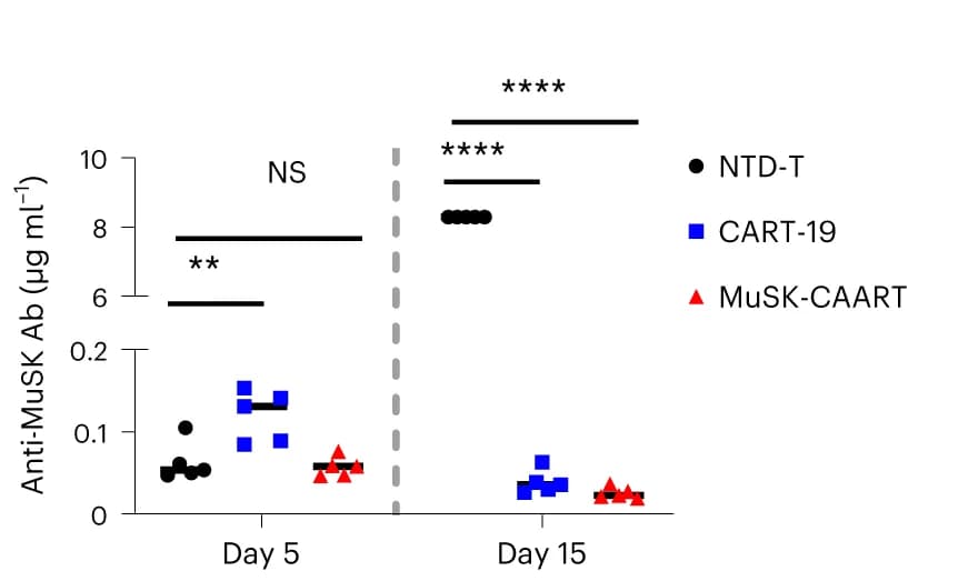 Open access visualization of Scatter Plot, Anti-MuSK Antibody, Blood Samples, IgG4 mAb, Two-way ANOVA