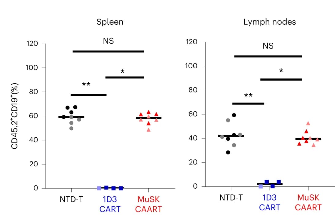 Open access visualization of Scatter Plot, B Cells, Spleen, Lymph Nodes, Frequency