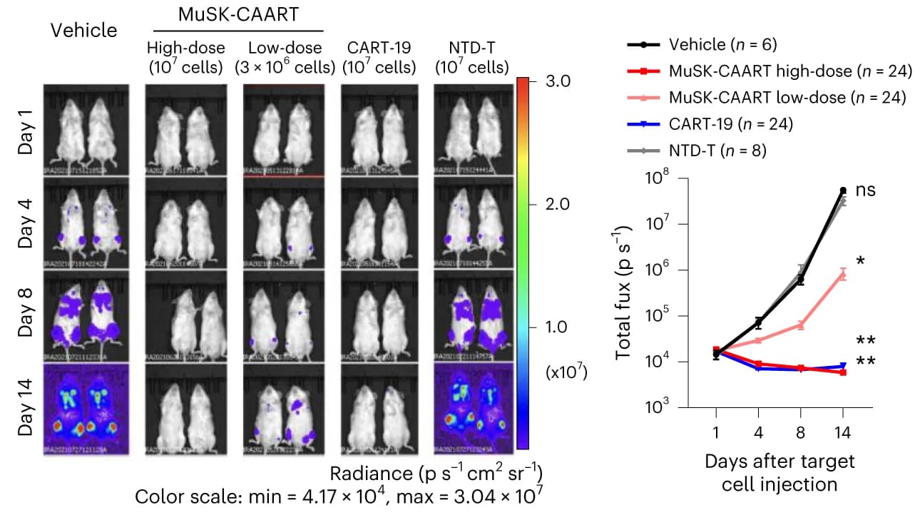 Open access visualization of Line Plot, Error Bars, Microscopy, Photo, Bioluminescence images