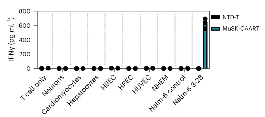 Open access visualization of Bar Plot, Scatter Plot, Cytotoxicity, MuSK-CAART, T cell batches