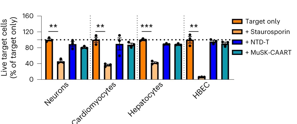 Open access visualization of Bar Plot, Error Bars, Clustered, Viability, High-content imaging analysis