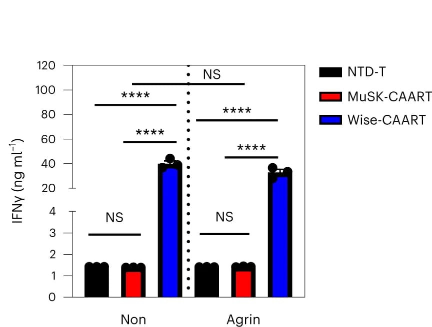 Open access visualization of Bar Plot, Error Bars, Clustered, Human myotubes, NTD-T