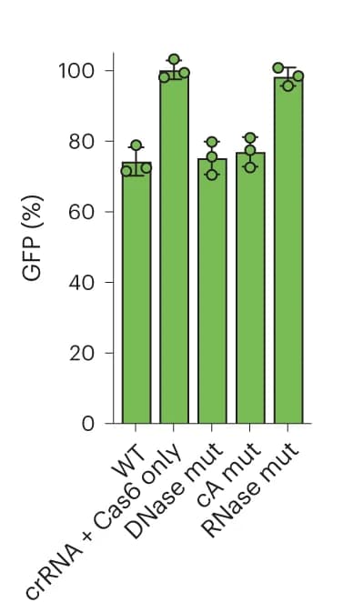 Open access visualization of Bar Plot, Error Bars, GFP fluorescence, Csm mutants, crRNA
