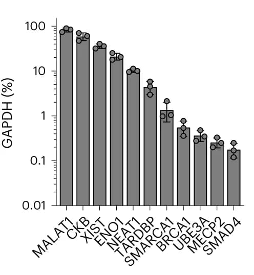Open access visualization of Bar Plot, Error Bars, RNA abundance, GAPDH, HEK293T Cells