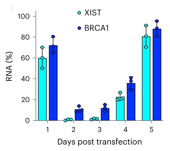 Open access visualization of Bar Plot, Error Bars, Clustered, RNA abundance, XIST