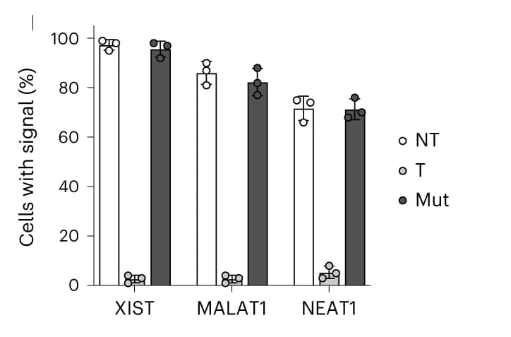 Open access visualization of Bar Plot, Error Bars, Quantification, Transfected Cells, Biological Replicates