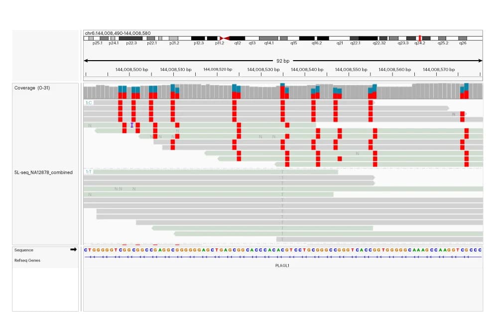 Open access visualization of Bar Plot, Line Plot, Integrative Genomics Viewer, IGV Plot, PLAGL1 Gene