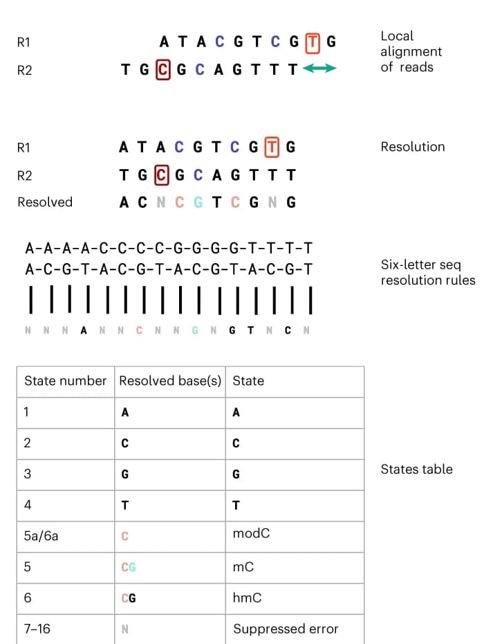 Open access visualization of Workflow, Illustration, Table Image, Decoding Model, modC