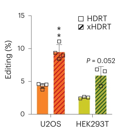 Open access visualization of Bar Plot, Error Bars, Fluorophore, LMNB1 locus, U2OS Cells