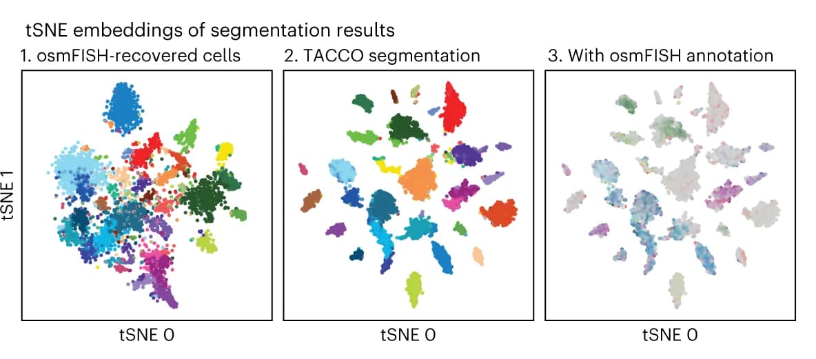 Open access visualization of Scatter Plot, UMAP, PCA, Cell segmentation, osmFISH