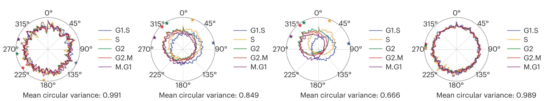 Open access visualization of Line Plot, Polar Plot, Cell Cycle Phases, Gene Sets, Circular Mean