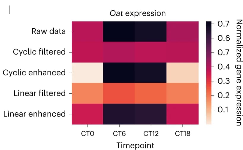 Open access visualization of Heatmap, Heatmaps, Gene expression, Oat, scPrisma