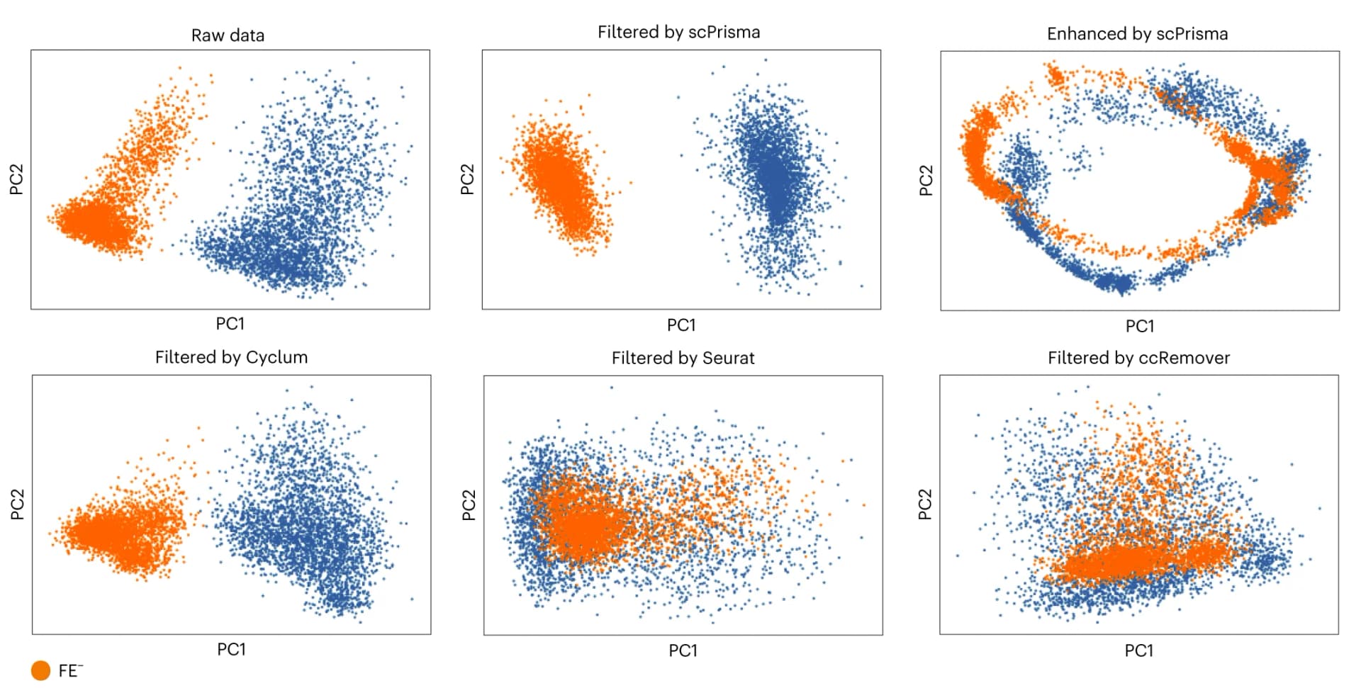 Open access visualization of Scatter Plot, PCA, Cells, Fe+, Fe-