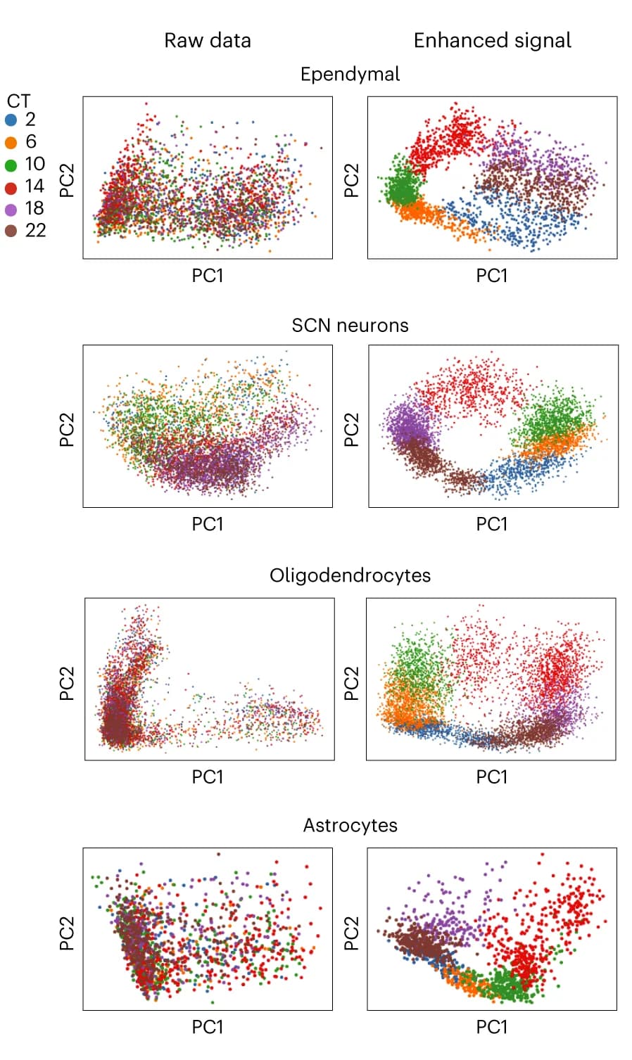 Open access visualization of Scatter Plot, PCA, SCN Gene Expression Data, scPrisma, Ependymal Cells