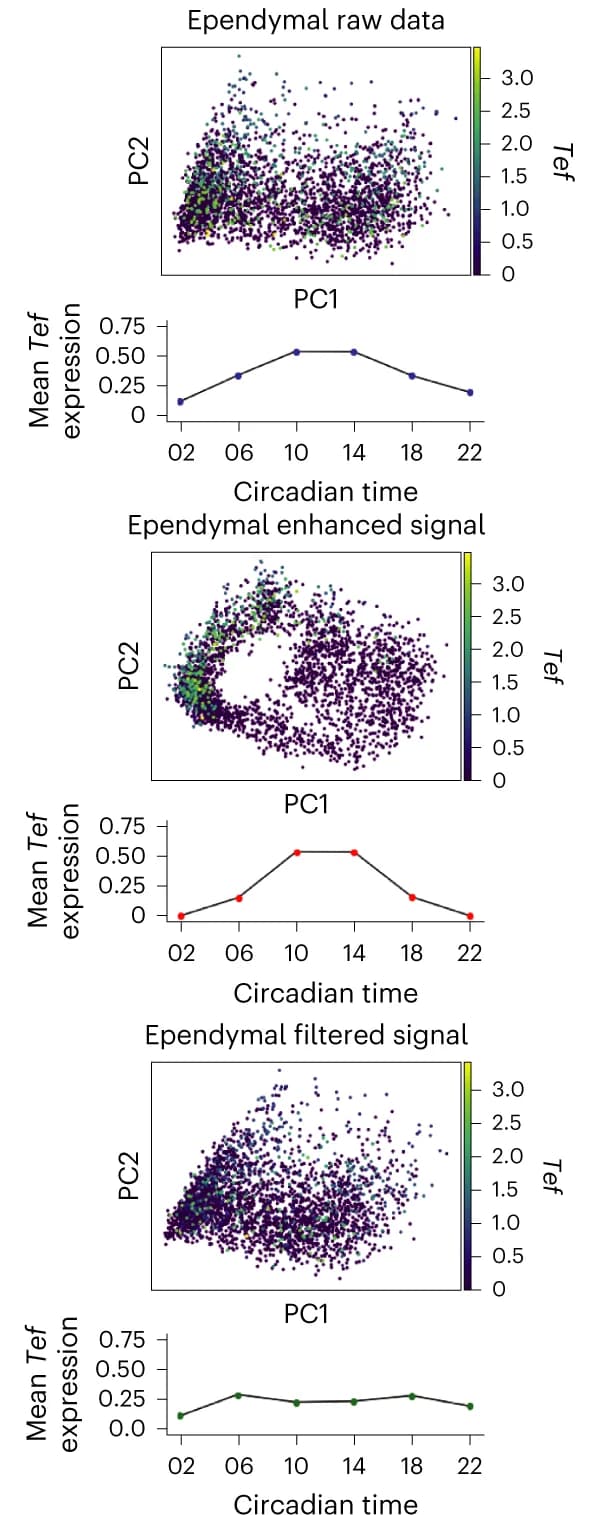 Open access visualization of Scatter Plot, Line Plot, PCA, Ependymal Cells, Tef Expression