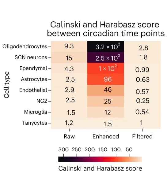 Open access visualization of Heatmap, Calinski and Harabasz Score, scPrisma, Circadian Genes