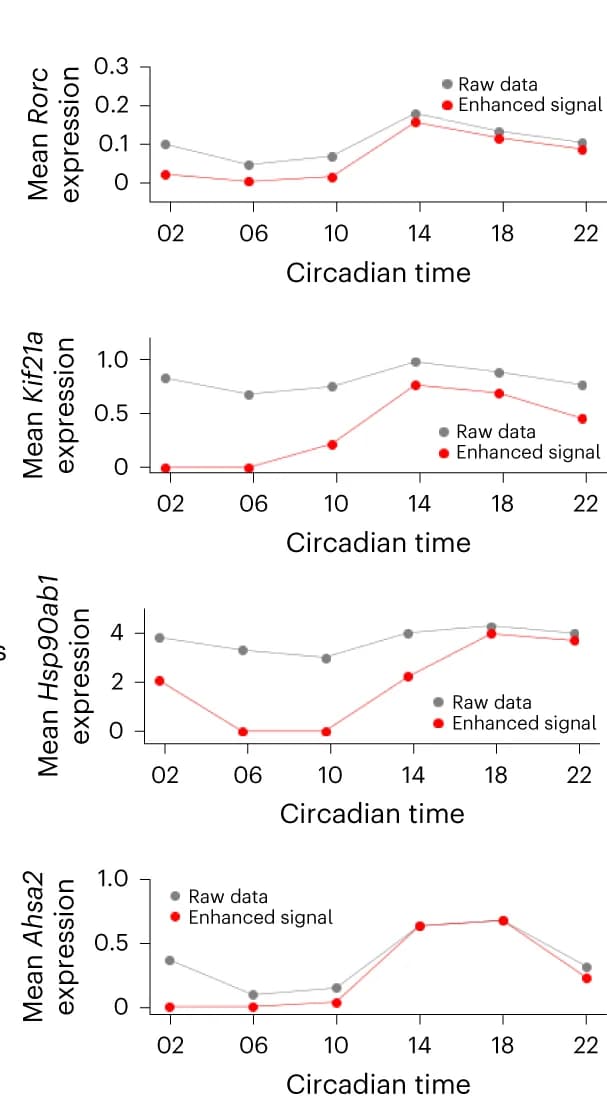 Open access visualization of Line Plot, Rorc Expression, Ahsa2 Expression, Hsp90ab1 Expression, Transcription Factor