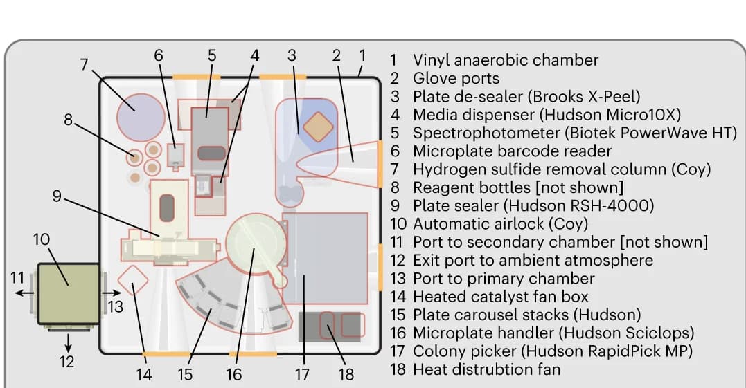 Open access visualization of Illustration, Workflow, Automated System, Anaerobic Microbial Isolation, Cultivation System