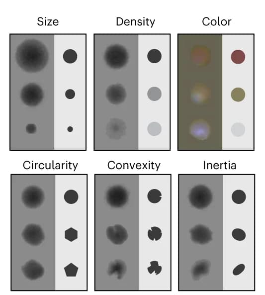 Open access visualization of Illustration, Colony Morphology, Colony Size, Colony Shape, Transillumination
